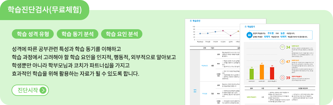 학습진단검사