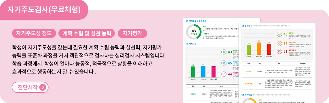 자기주도검사